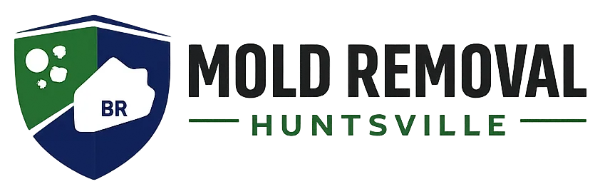 moldremovalhuntsville.com